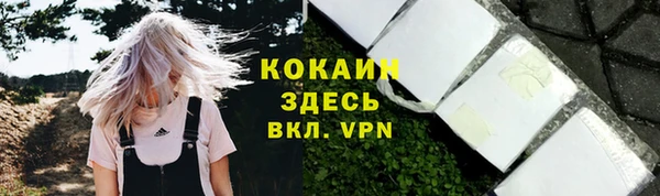 СК Павлово