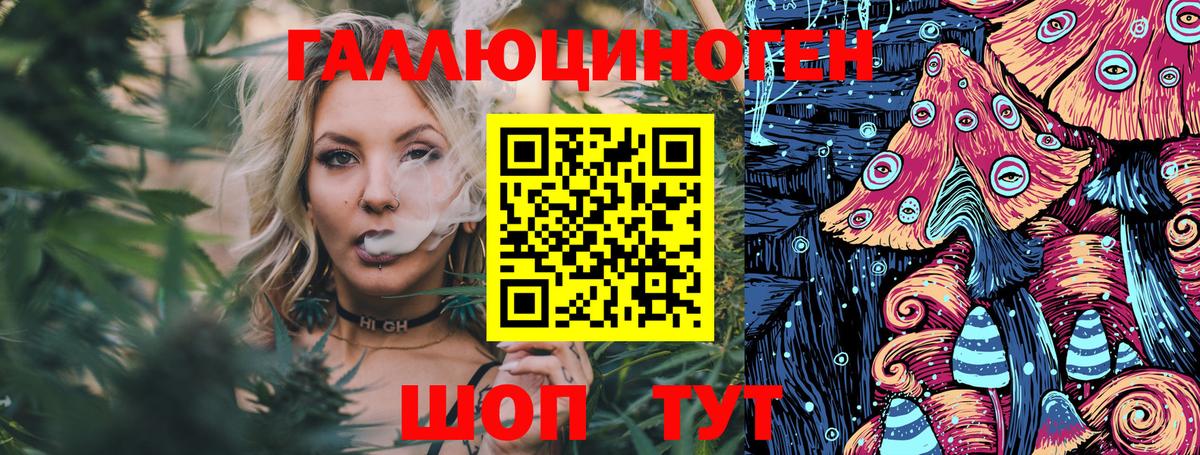 Галлюциногенные грибы Psilocybine cubensis Смоленск